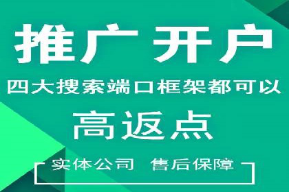 某电商平台的SEM代运营策略及效果评估