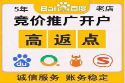深度解析托管竞价sem：一则行业领先企业的成功故事